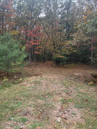 $125,000 | Maple Road, Manistee, MI 49660