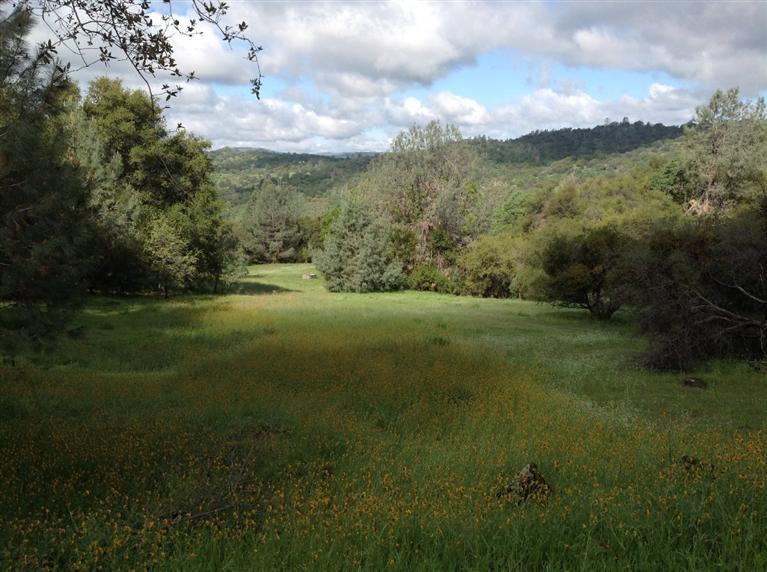 4116 Usona Road Mariposa, CA 95338 - Photo 2 of 2 Gallery Image 2
