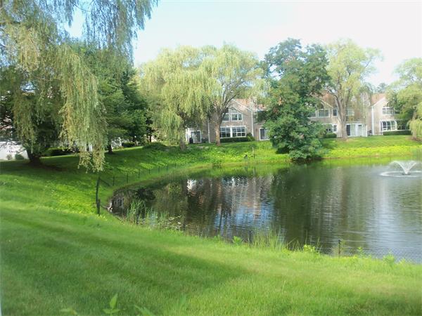 16 Canvasback Way, Unit 16 Walpole, MA 02081 - Photo 20 of 30 a backyard of a house with lots of green space