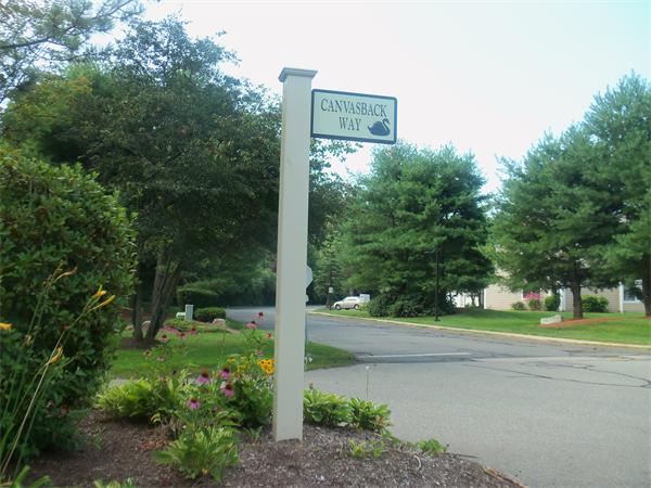 16 Canvasback Way, Unit 16 Walpole, MA 02081 - Photo 24 of 30 a front view of a house with a yard and a fountain