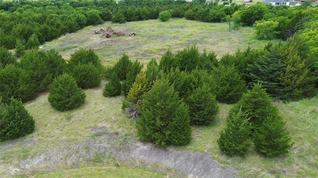 Tbv Evergreen Way Nevada, TX 75173 - Photo 1 of 4 a view of a lush green space