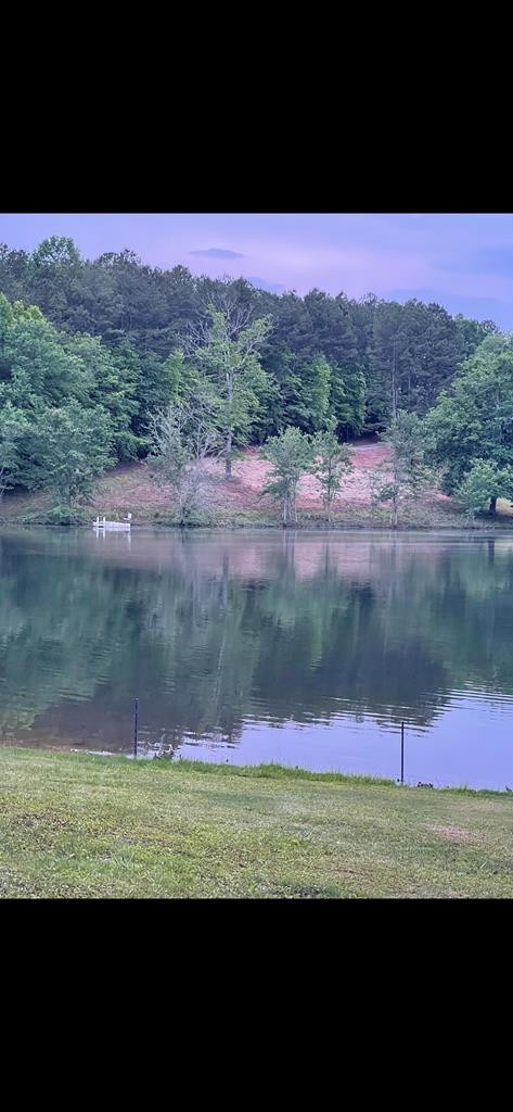 0 Old Evans Road Murphy, NC 28906 - Photo 10 of 10