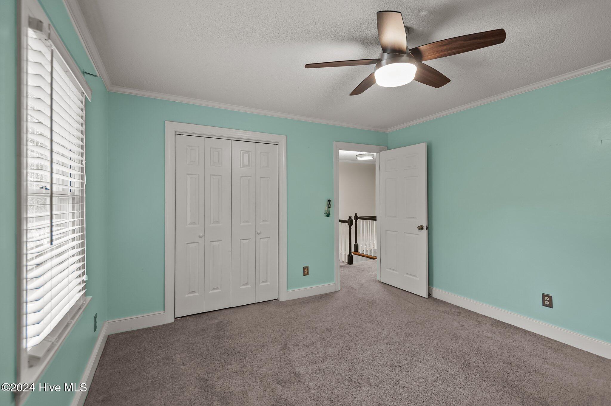 606 Winstead Road Greenville, NC 27834 - Photo 32 of 53 32-web-or-mls-_DSC3496