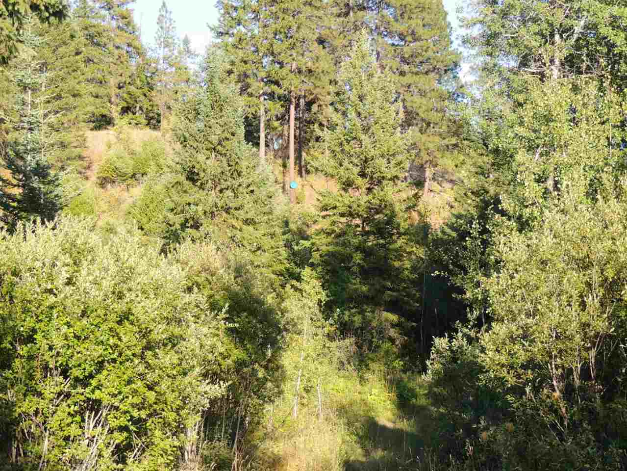 0 Darrin Road Valley, WA 99181 - Photo 1 of 6