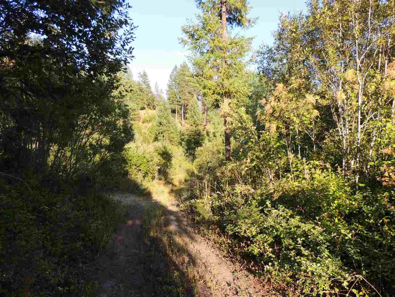 0 Darrin Road Valley, WA 99181 - Photo 2 of 6