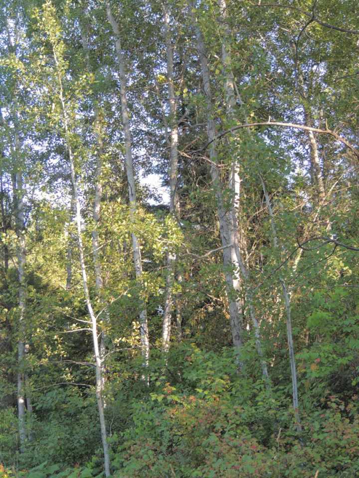 0 Darrin Road Valley, WA 99181 - Photo 3 of 6