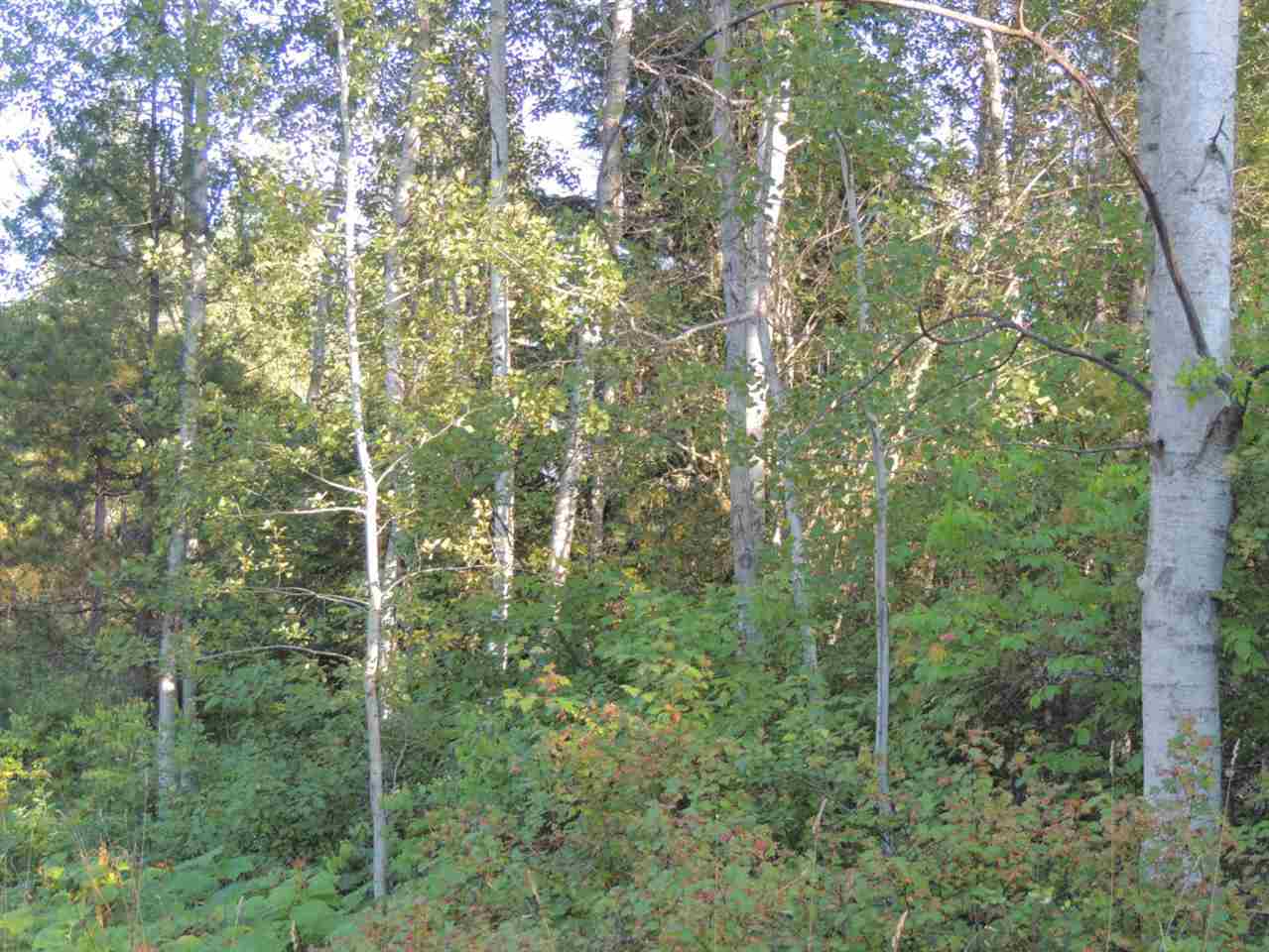 0 Darrin Road Valley, WA 99181 - Photo 4 of 6