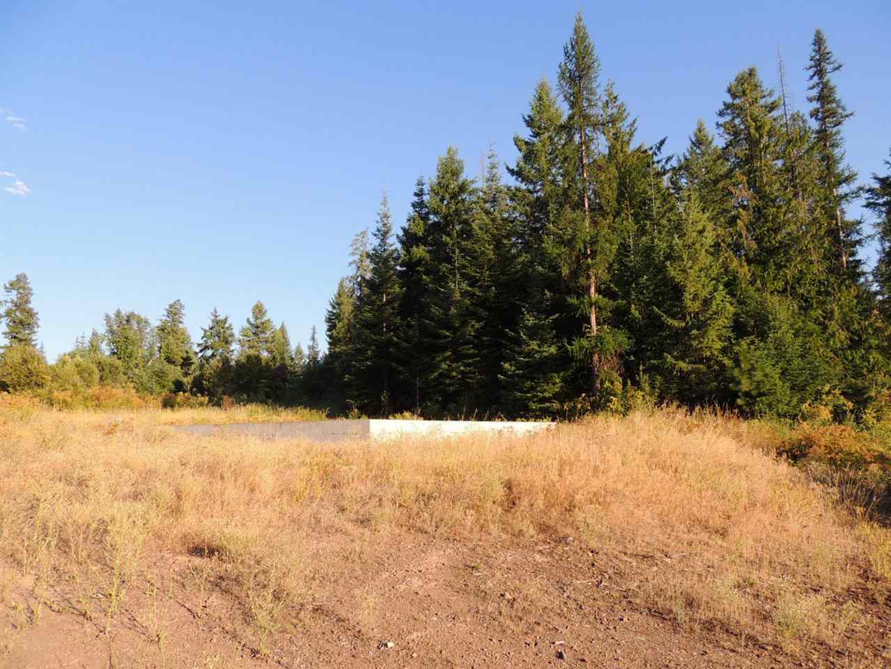 0 Darrin Road Valley, WA 99181 - Photo 5 of 6