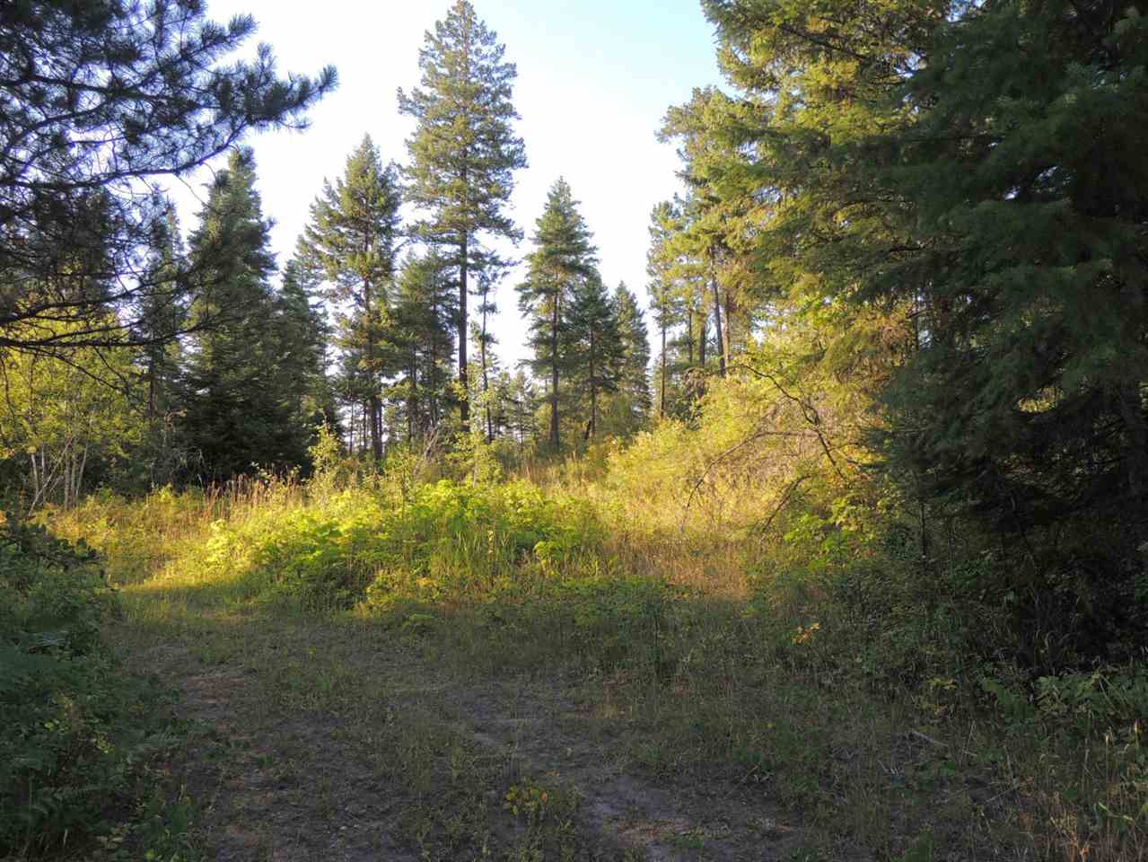 0 Darrin Road Valley, WA 99181 - Photo 6 of 6
