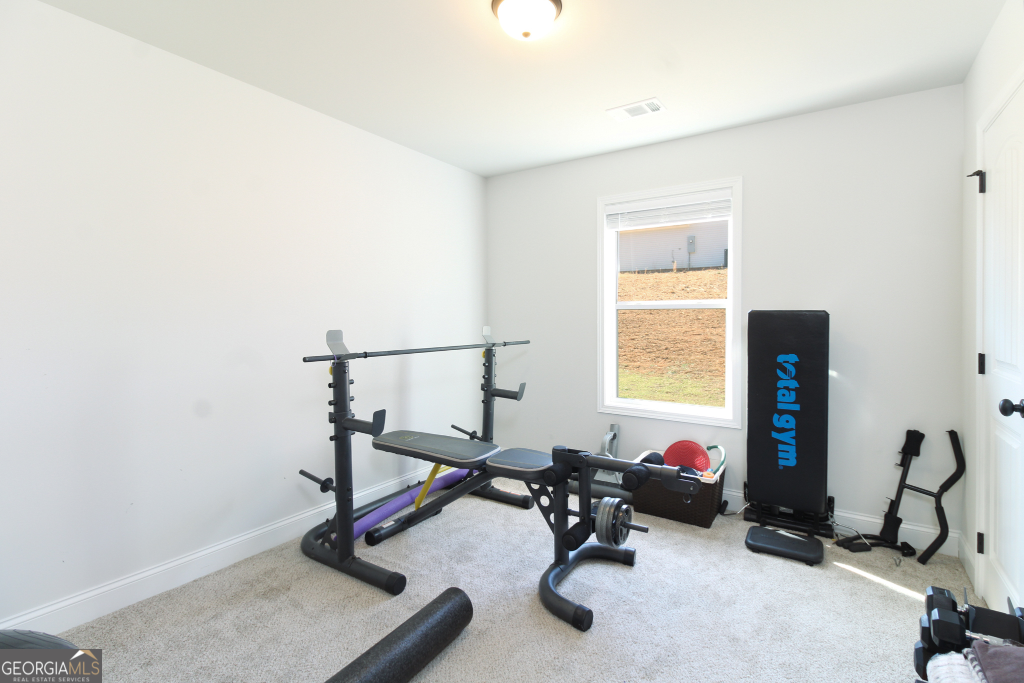 31 Rolling Woods Lane Colbert, GA 30628 - Photo 26 of 30 a view of a room with gym equipment