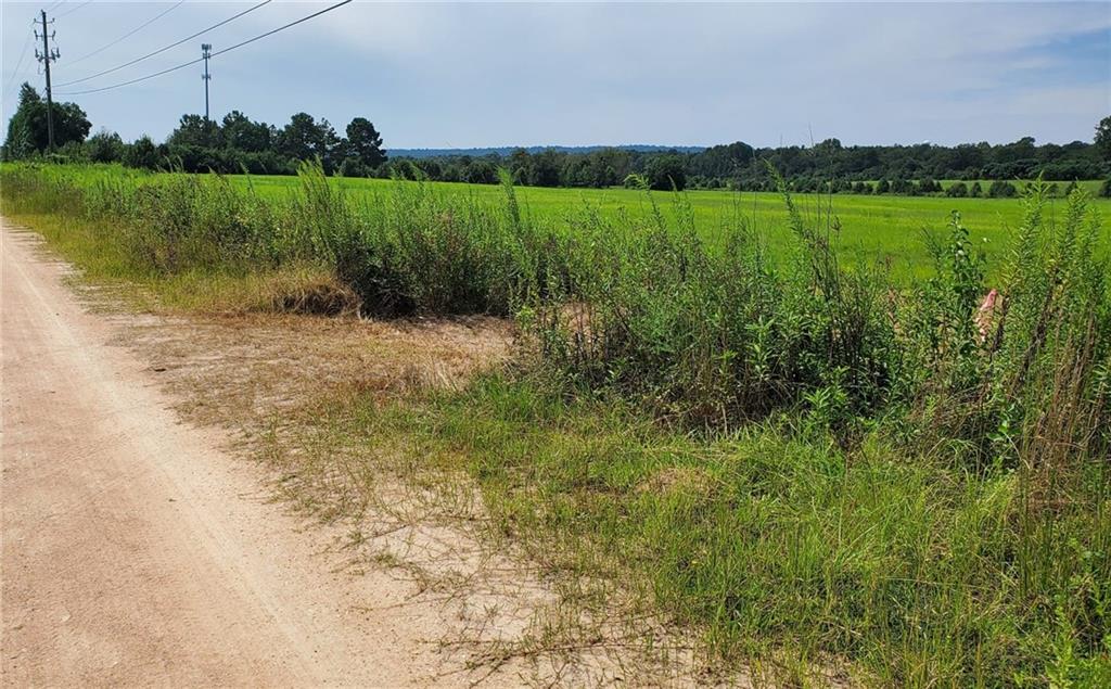 4331 Jordan Lake Road Macon, GA 31206 - Photo 2 of 6