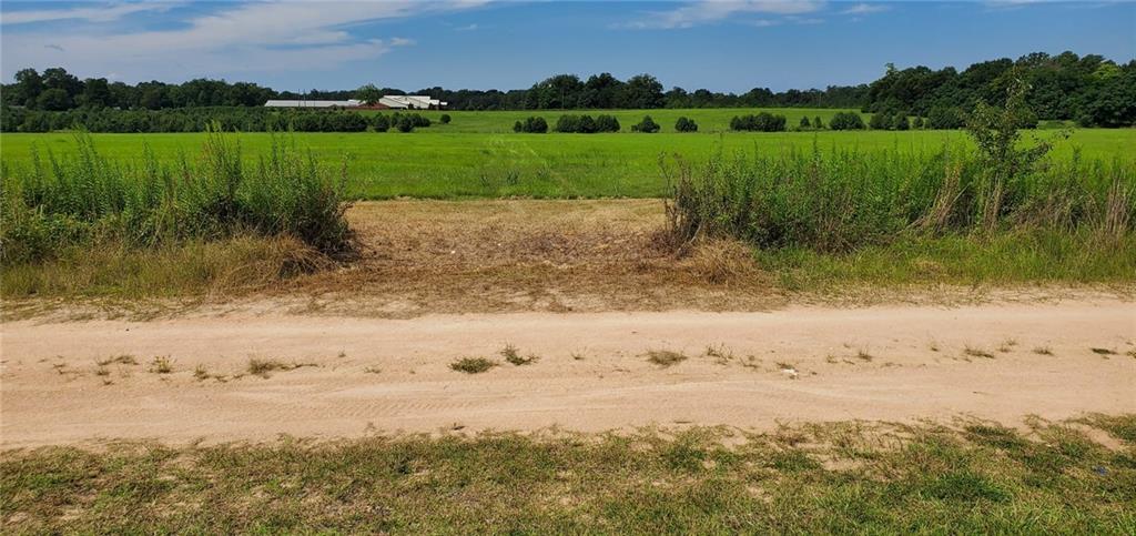 4331 Jordan Lake Road Macon, GA 31206 - Photo 6 of 6