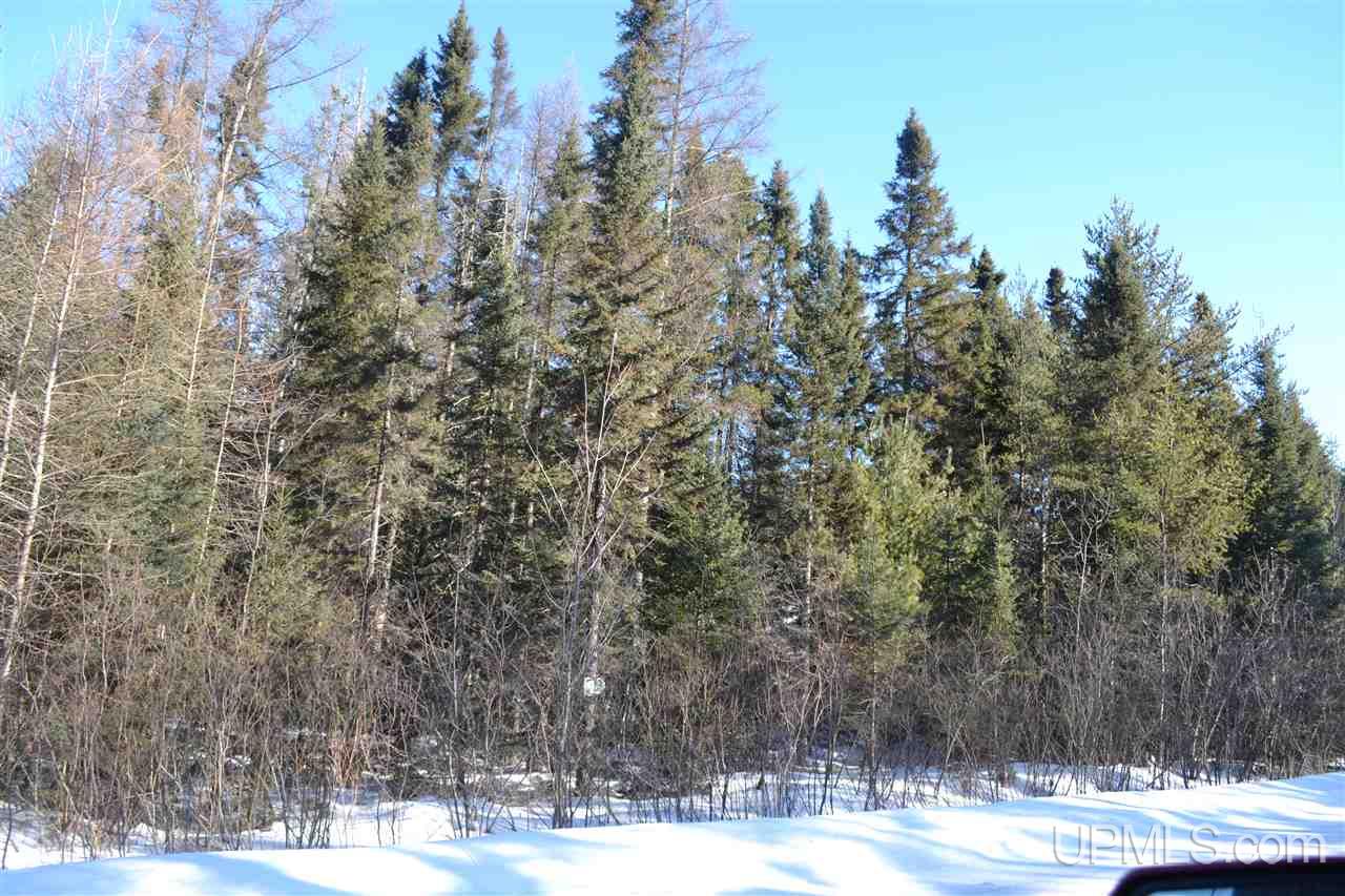 2310 West Co Road Negaunee, MI 49866 - Photo 30 of 31