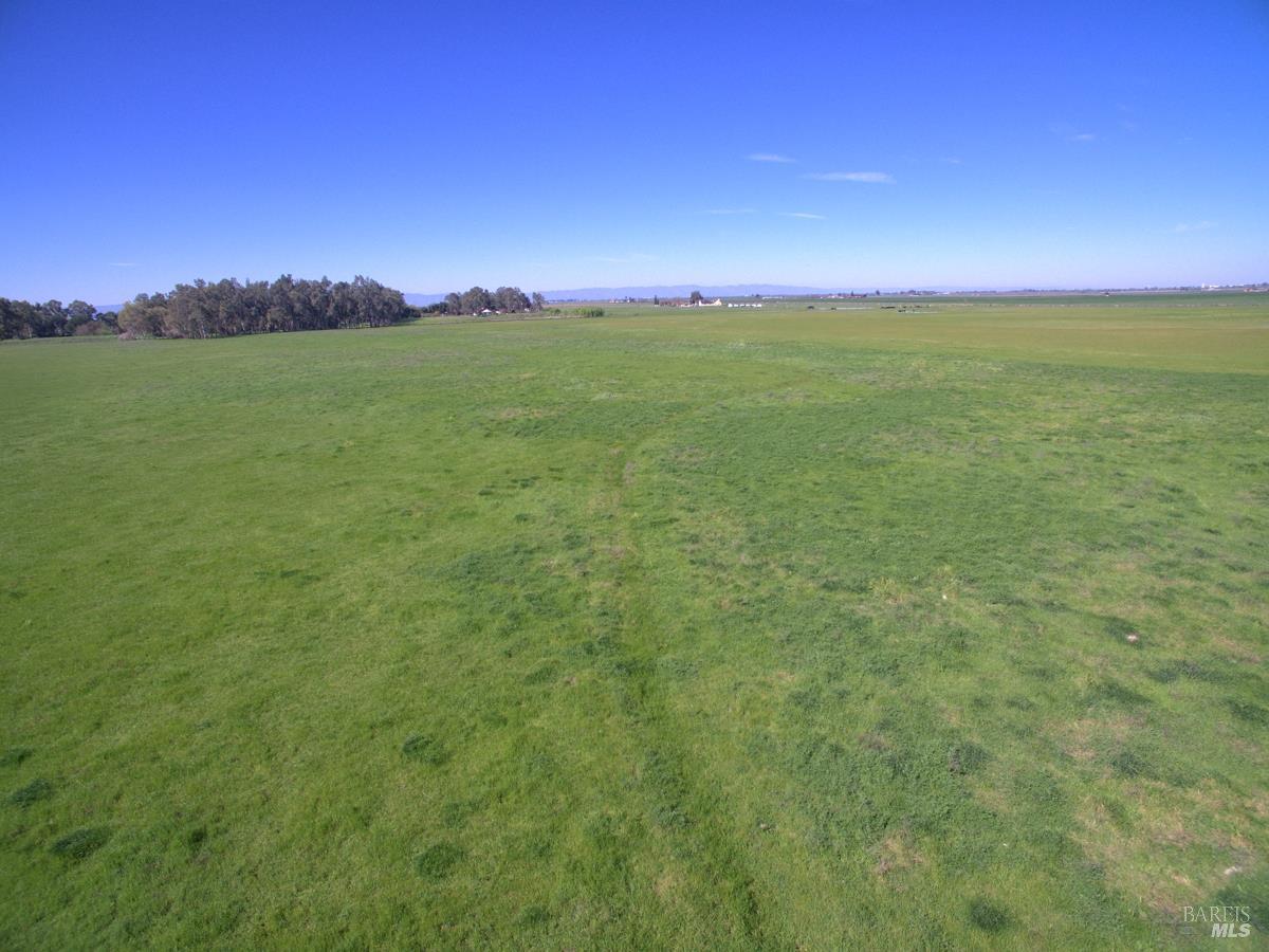 0 Hyde Road Dixon, CA 95620 - Photo 14 of 17 a view of a yard with an trees