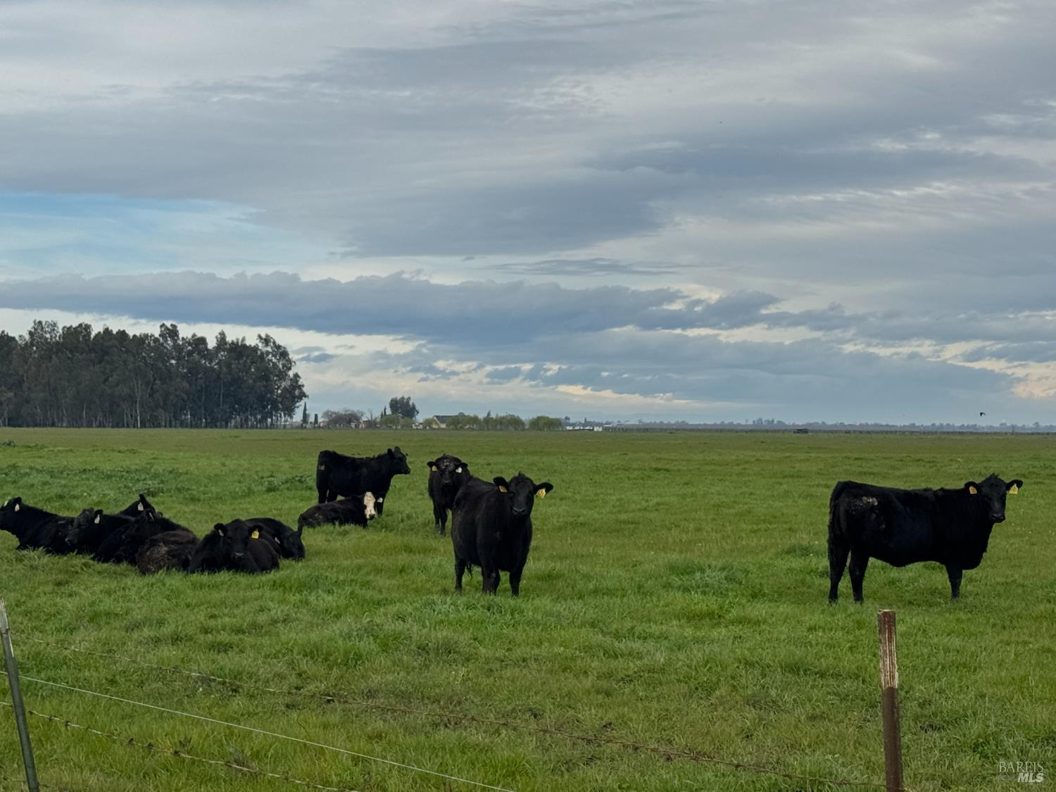 0 Hyde Road Dixon, CA 95620 - Photo 8 of 17 a view of a garden and lake