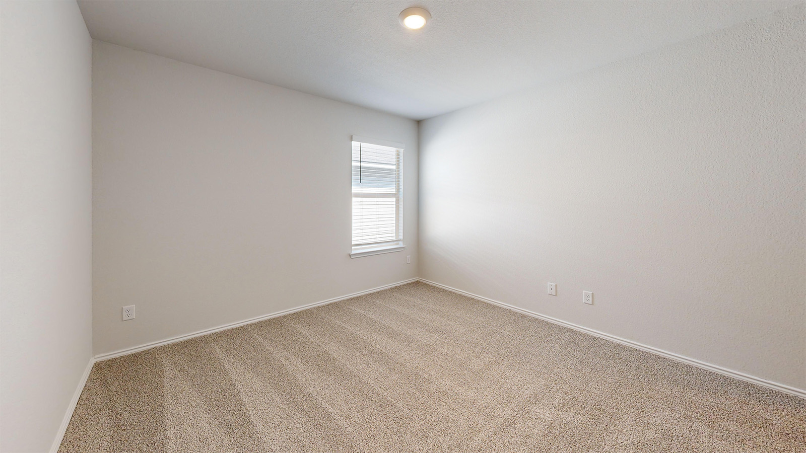 160 McNamara Court Jarrell, TX 76537 - Photo 20 of 27 an empty room with windows