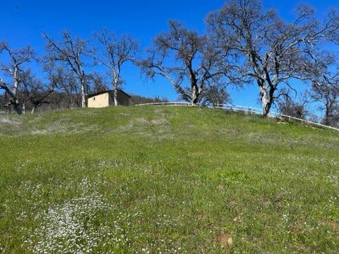 0 Marcella Way Igo, CA 96047 - Photo 1 of 8 a view of a yard with a house in the background