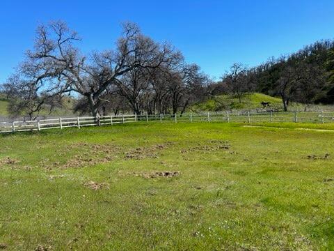 0 Marcella Way Igo, CA 96047 - Photo 3 of 8 a view of a swimming pool with a big yard and large trees