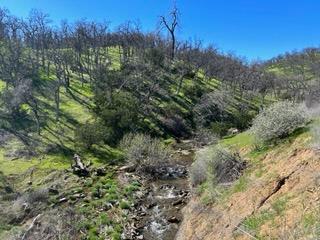 0 Marcella Way Igo, CA 96047 - Photo 4 of 8 a view of a lush green forest with large trees