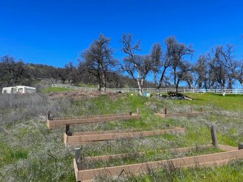 0 Marcella Way Igo, CA 96047 - Photo 5 of 8 a view of a yard with an trees