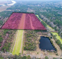 1007 Morants Point Road McClellanville, SC 29458 - Photo 18 of 26 20.3 Acres LHF