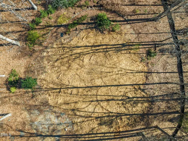 a bathroom with a dry plant