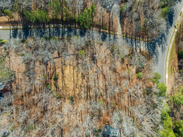 a view of yard with trees