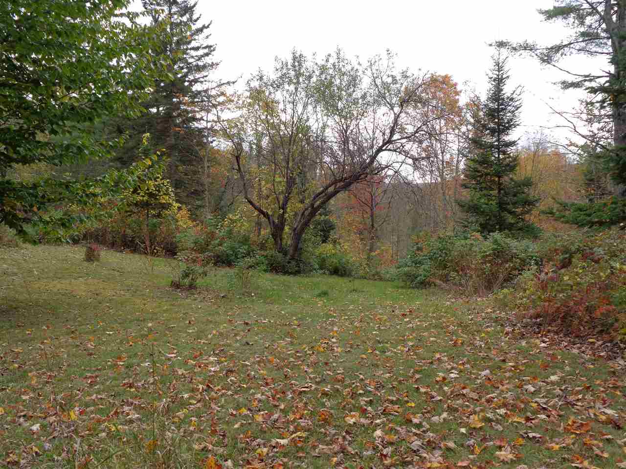297 Copper Mine Road Corinth, VT 05039 - Photo 3 of 8