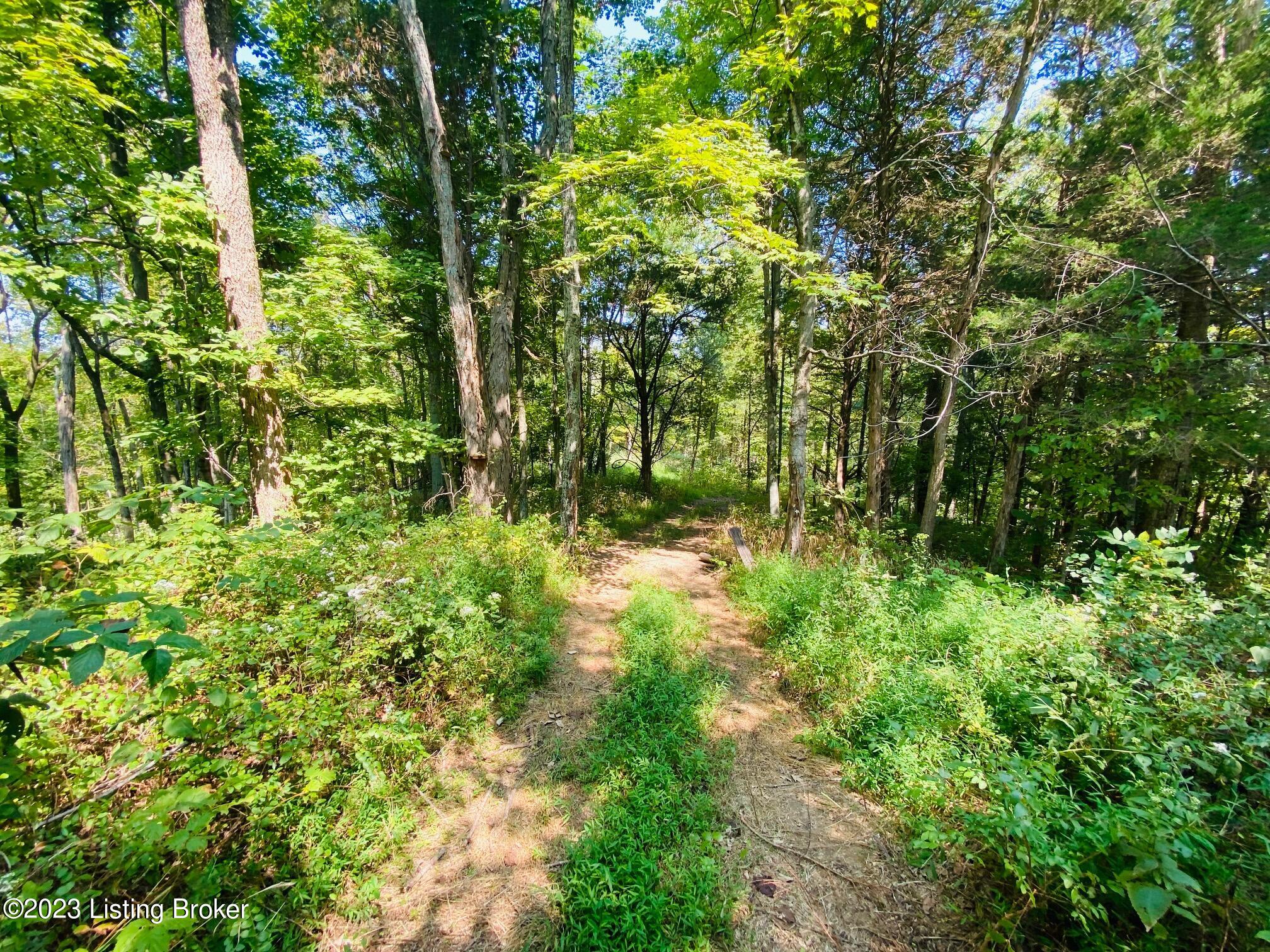 4740 Chaplin Road Willisburg, KY 40078 - Photo 6 of 8 IMG_0241