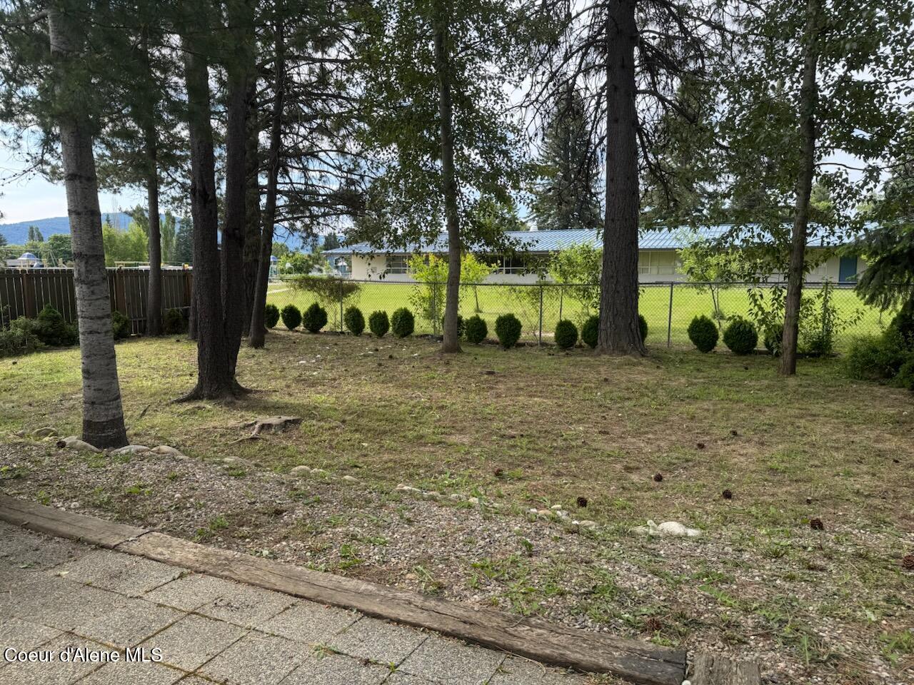 1601 Sequoia Street Sandpoint, ID 83864 - Photo 11 of 45 Your private forest