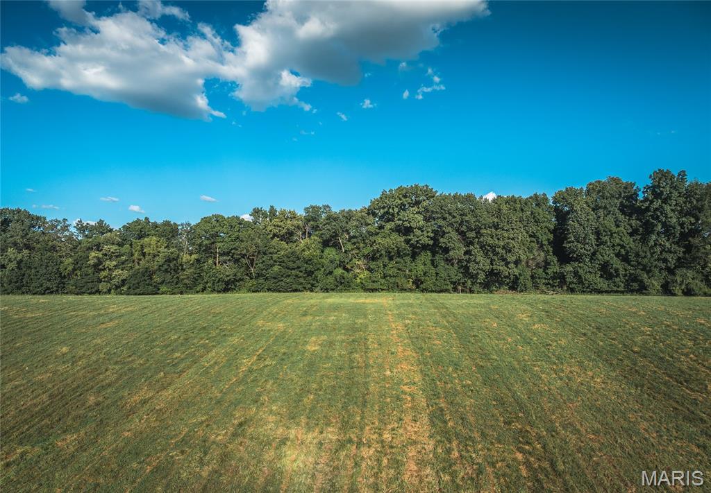 1705 Seiler Road Alton, IL 62002 - Photo 21 of 41