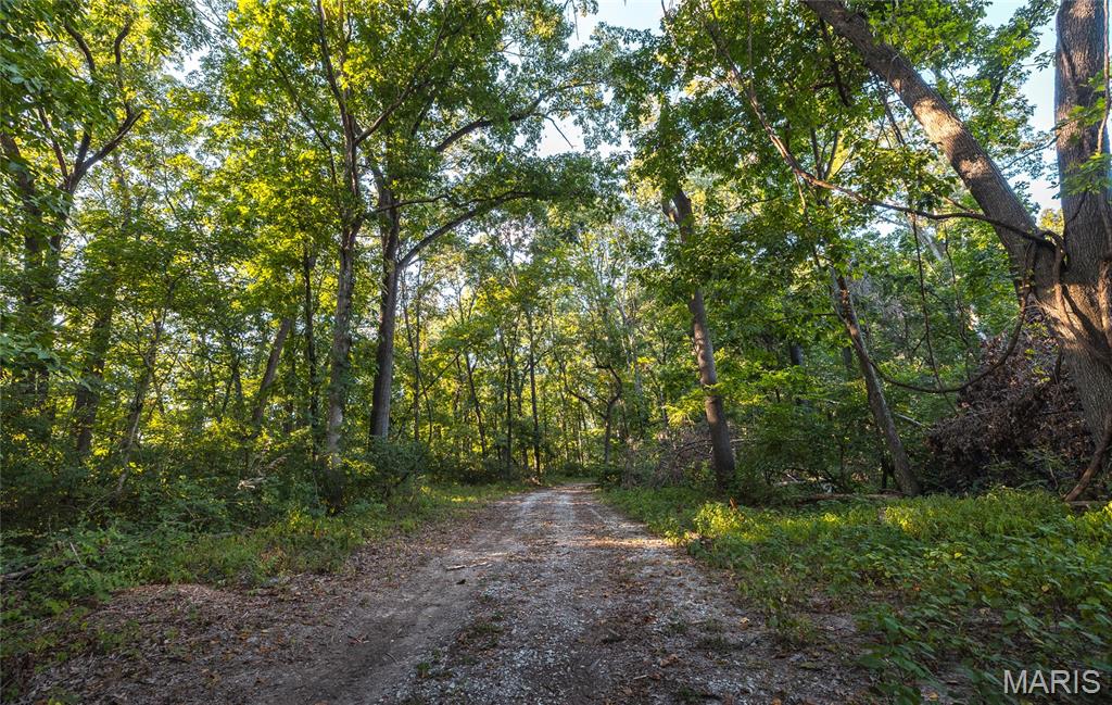 1705 Seiler Road Alton, IL 62002 - Photo 40 of 41