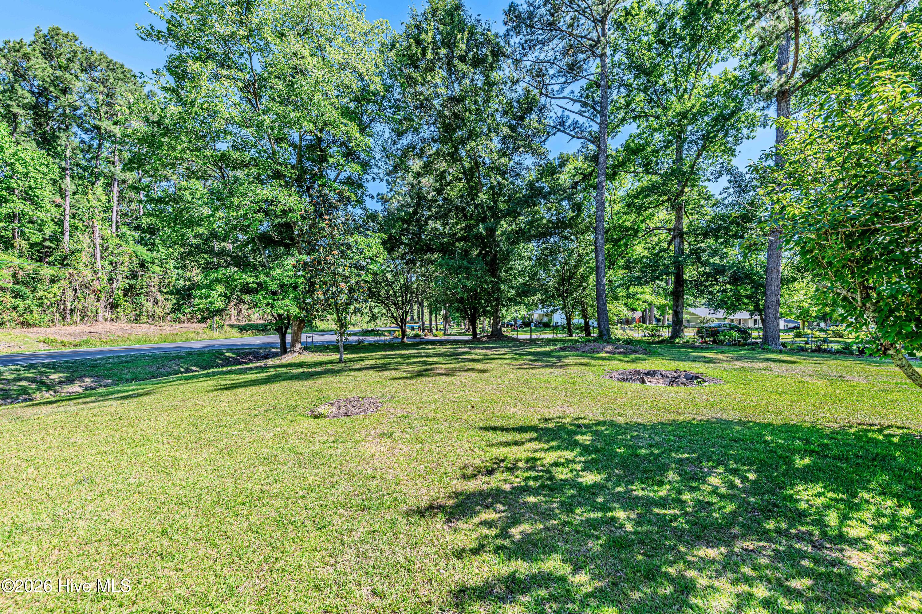 800 Mill River Road Jacksonville, NC 28540 - Photo 49 of 60 SIde/Backyard