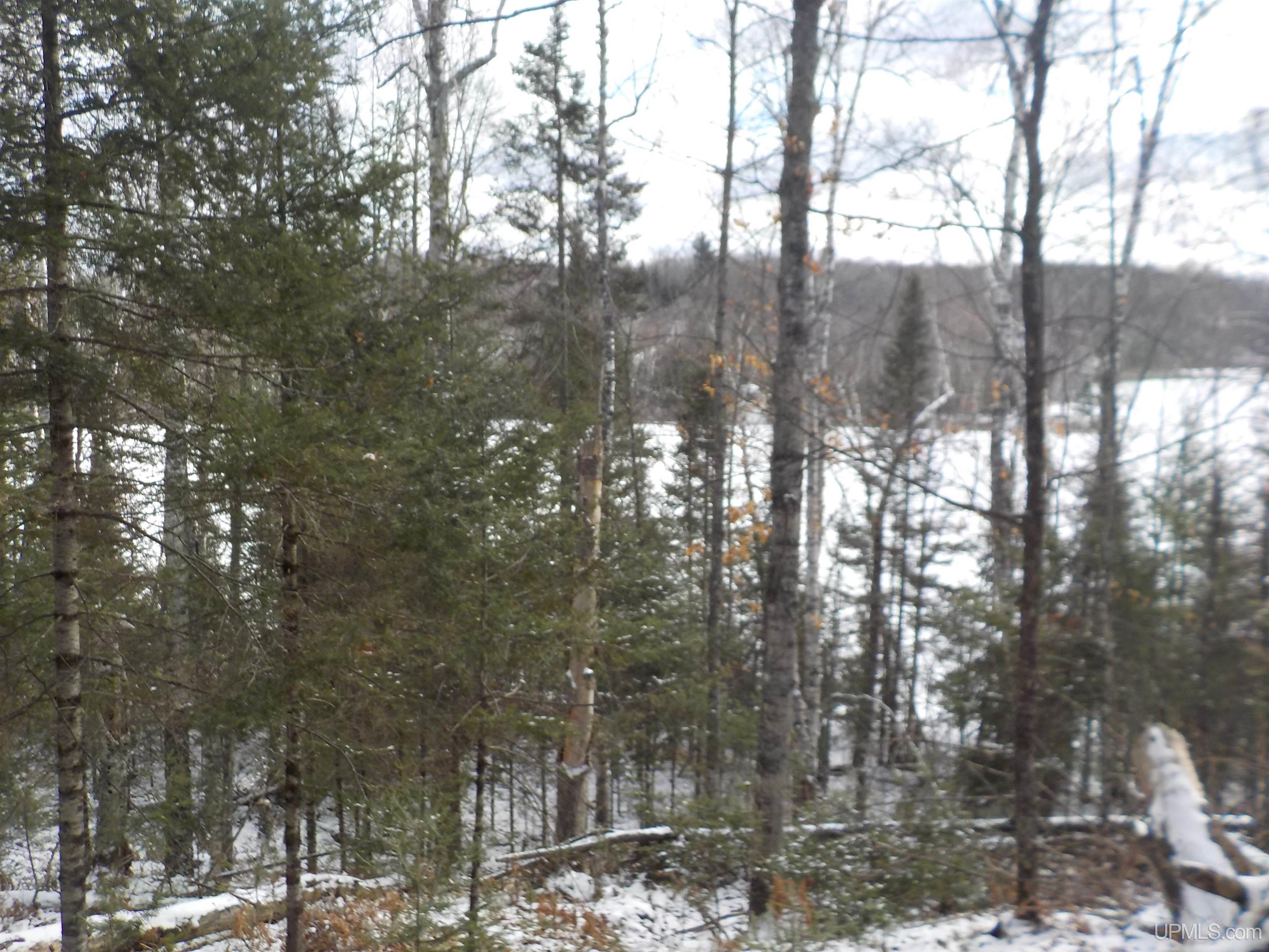 1.52-ac Bates-Amasa Road Crystal Falls, MI 49920 - Photo 14 of 28 Gallery Image 14