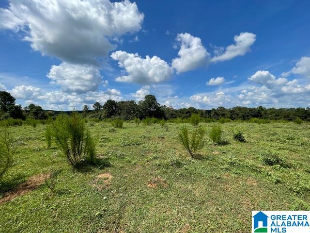 95 County Road, Unit 26 78 Wedowee, AL 36278 - Photo 5 of 10