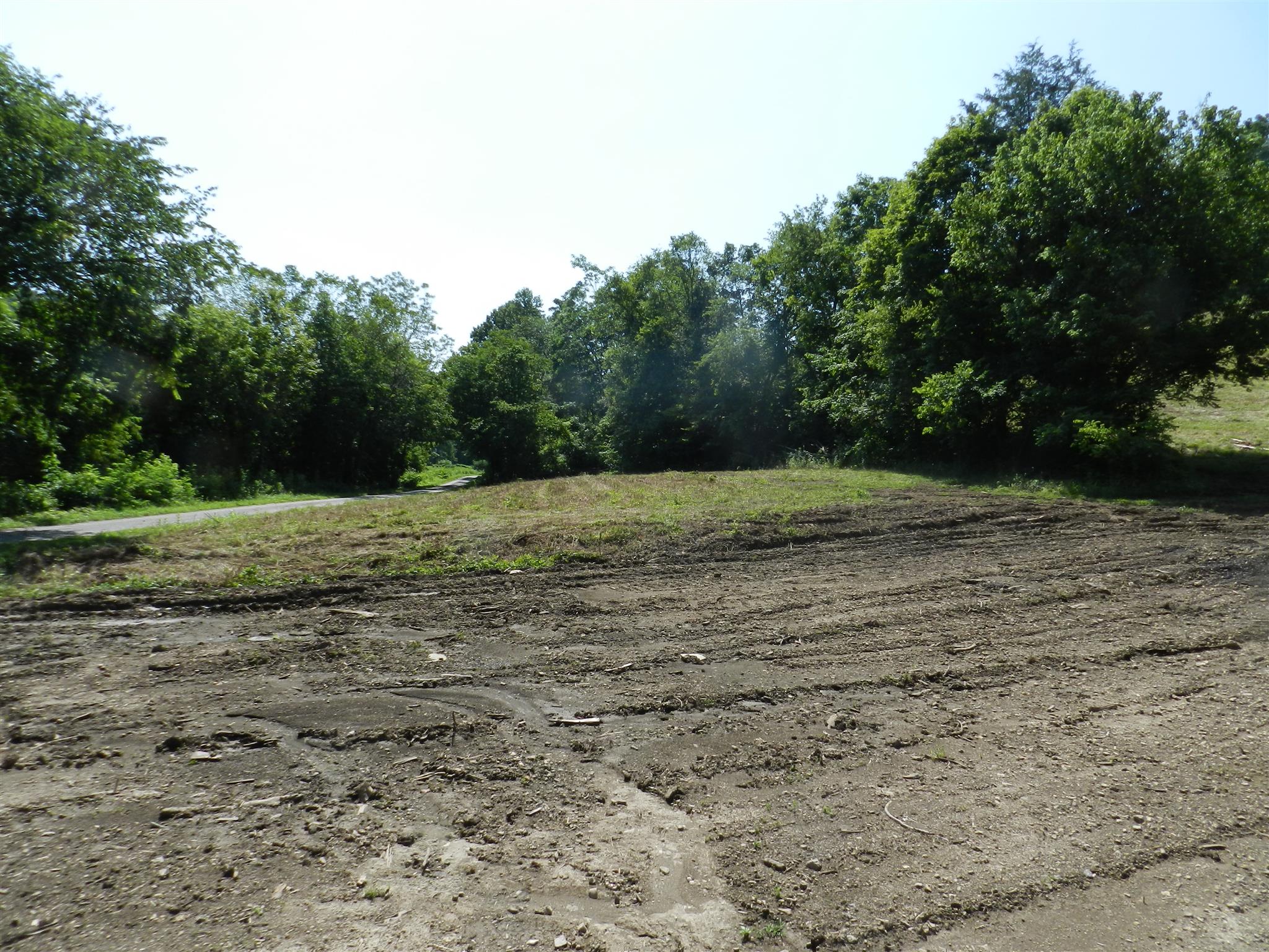 0 Dog Branch Road Carthage, TN 37030 - Photo 3 of 19 Gallery Image 3