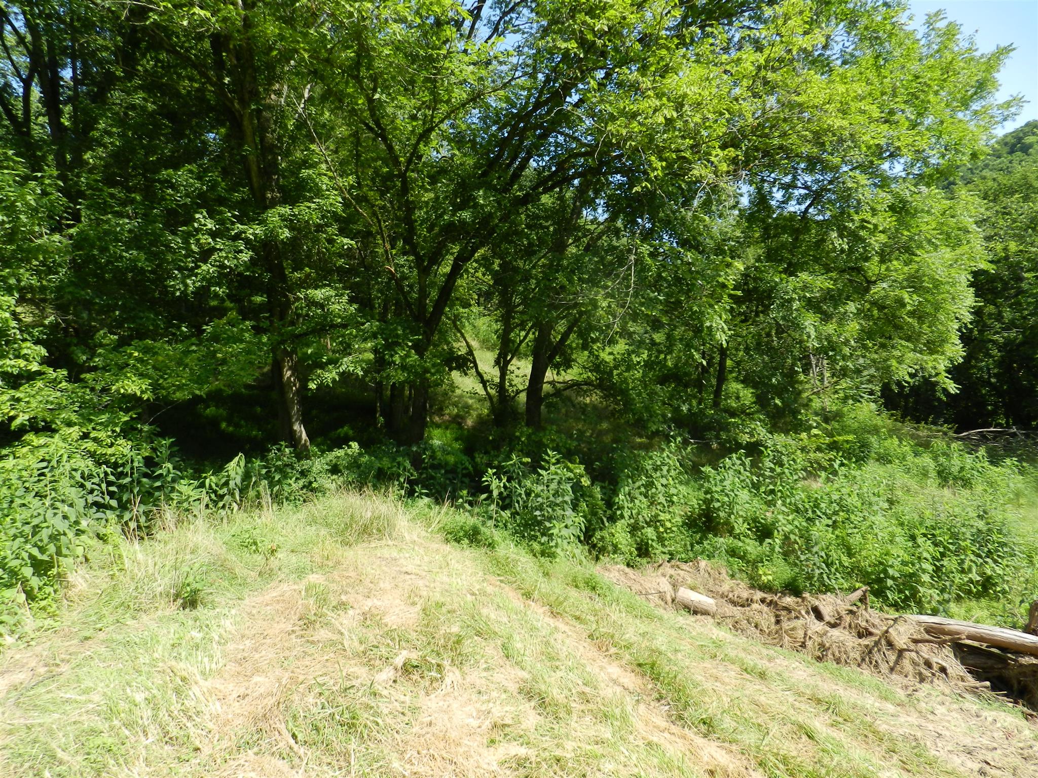 0 Dog Branch Road Carthage, TN 37030 - Photo 7 of 19 Gallery Image 7