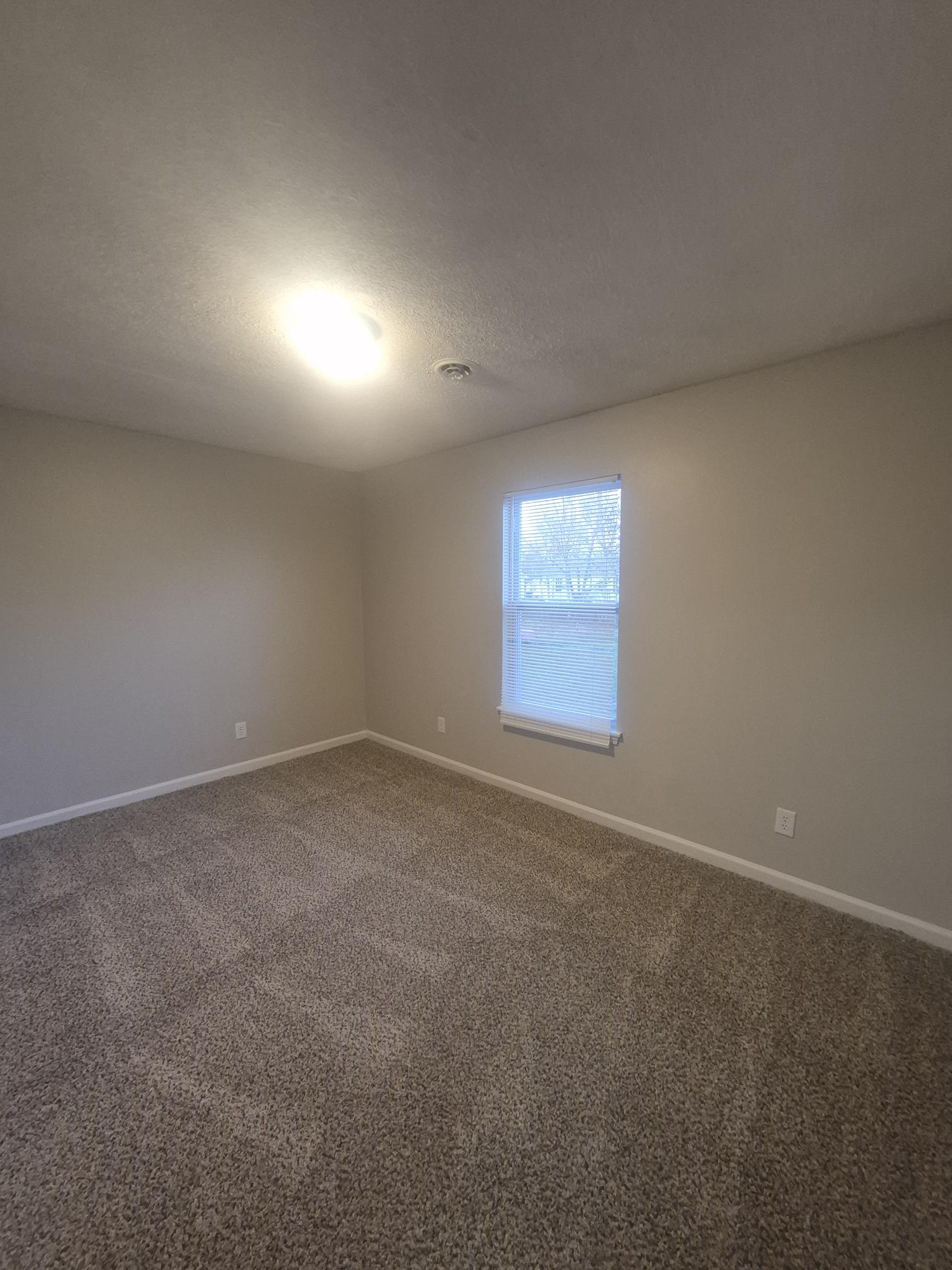 403 Eddy Street Oak Grove, KY 42262 - Photo 10 of 13 an empty room with windows