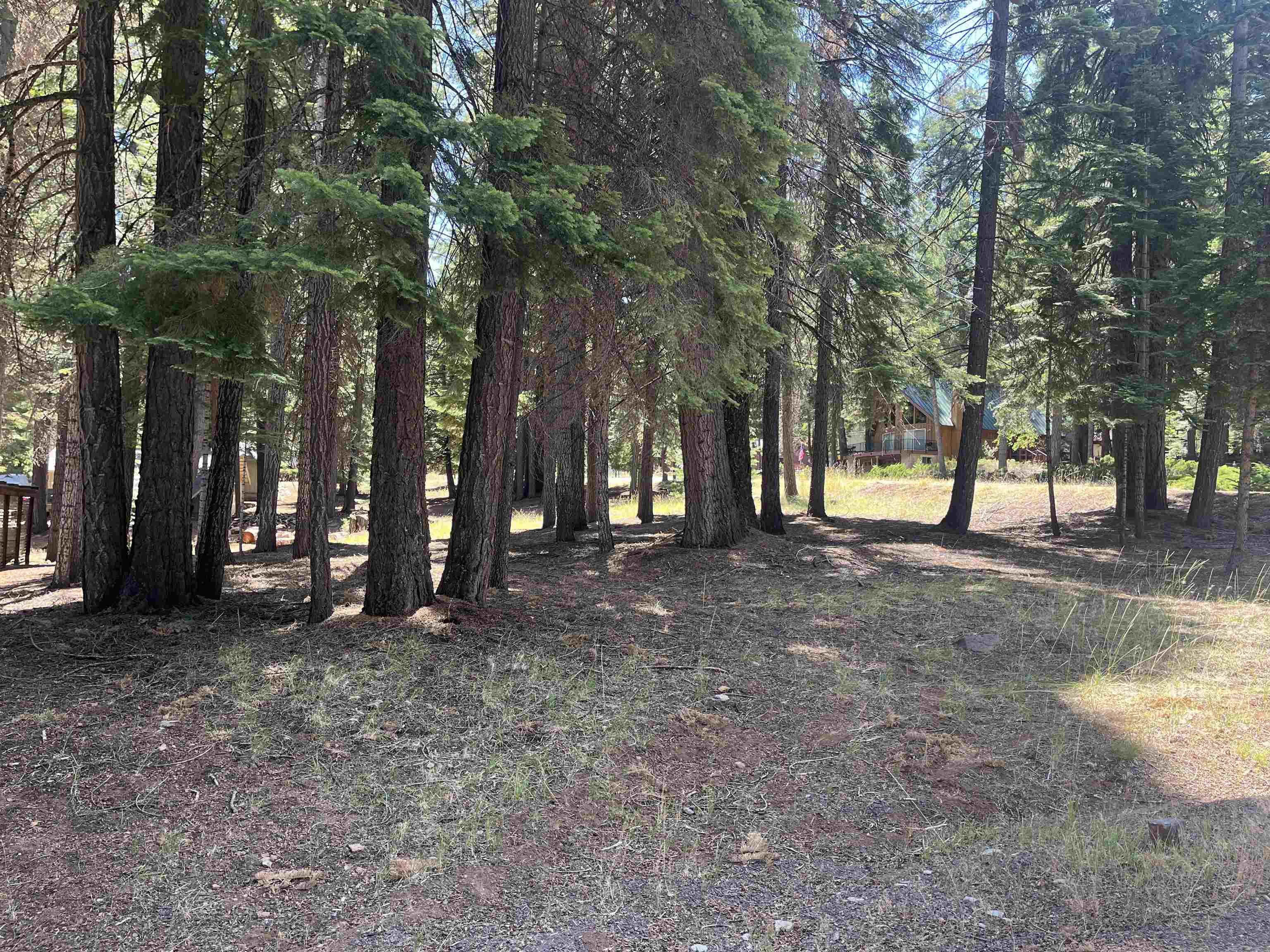 1160 Lake Ridge Road Lake Almanor, CA 96137 - Photo 8 of 9