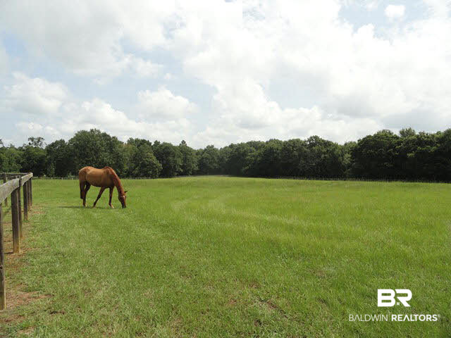 35640 North Spring Road Stapleton, AL 36578 - Photo 12 of 35