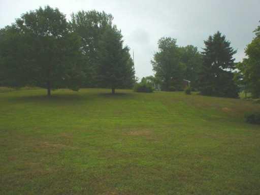 1017 Poke Run Church Road Apollo, PA 15613 - Photo 8 of 8 Yard/Garden.