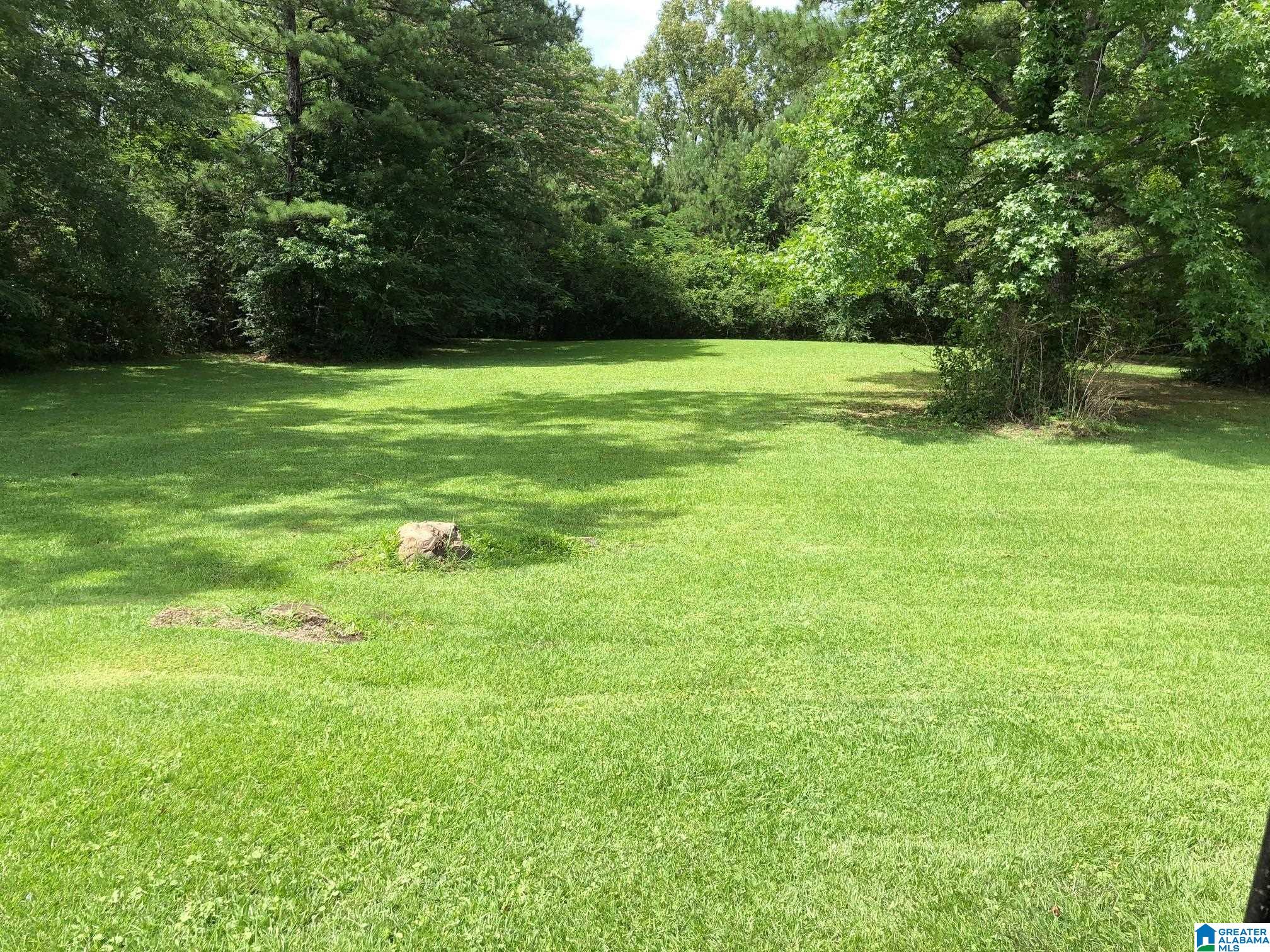 958 Chelsea Road Columbiana, AL 35051 - Photo 7 of 16