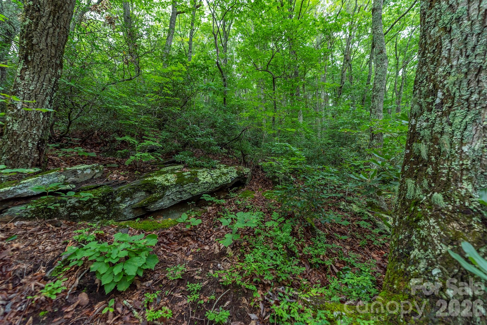 Tbd Summer Haven Road, Unit 16 Swannanoa, NC 28778 - Photo 14 of 45