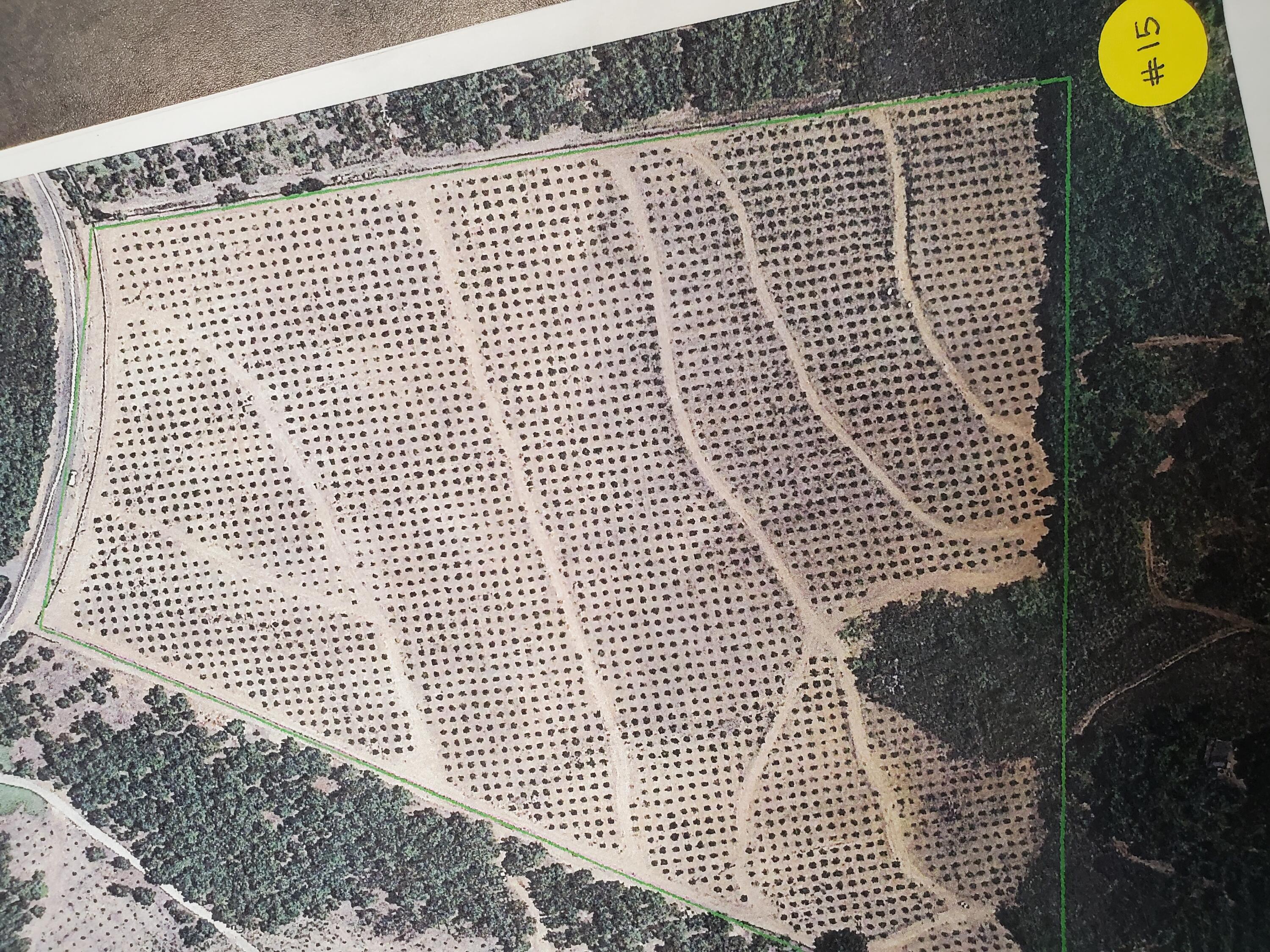 a view of a wooden roof