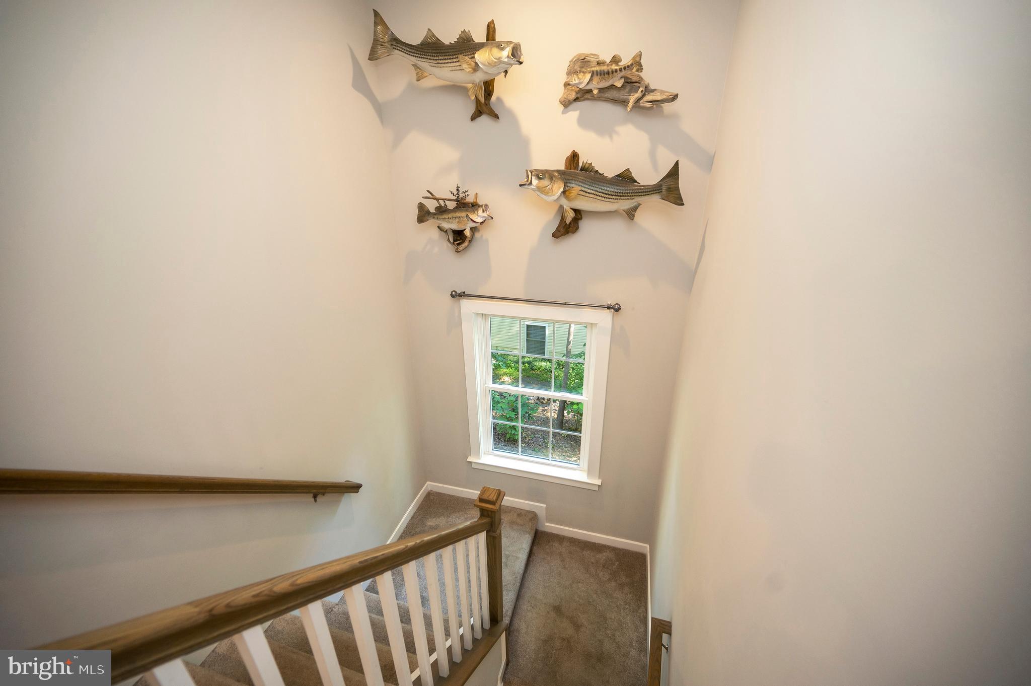 112 Butler Circle Locust Grove, VA 22508 - Photo 19 of 57 a view of a bathroom with a window