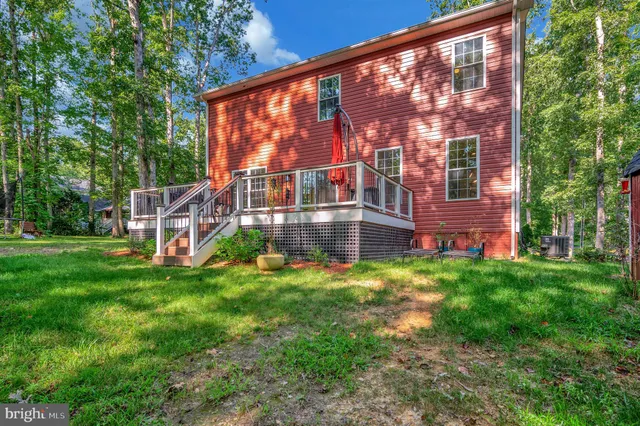 a view of lush green forest