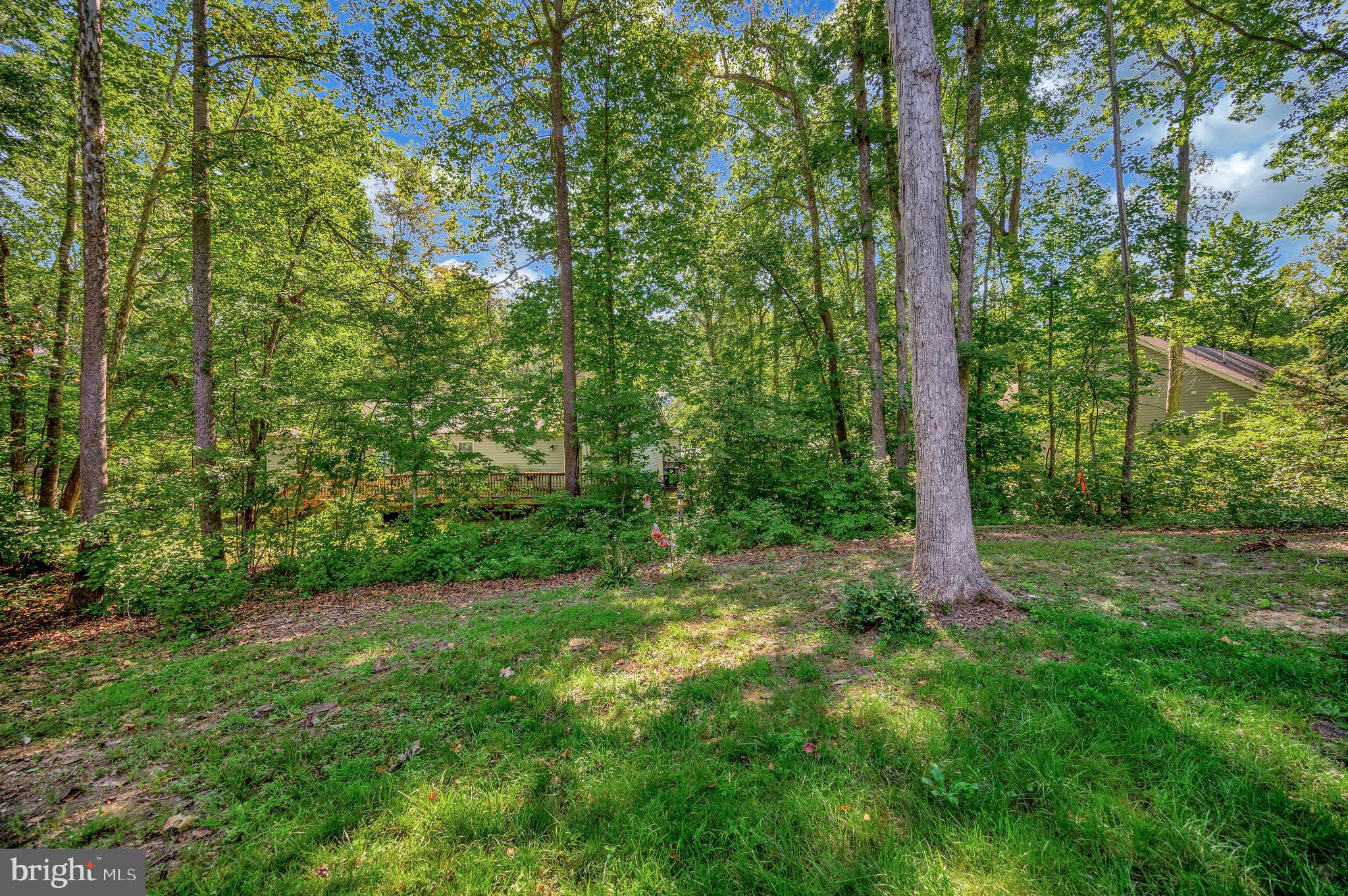 112 Butler Circle Locust Grove, VA 22508 - Photo 40 of 57 a view of lush green forest