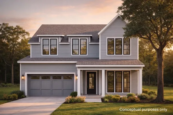 a view of a backyard with plants