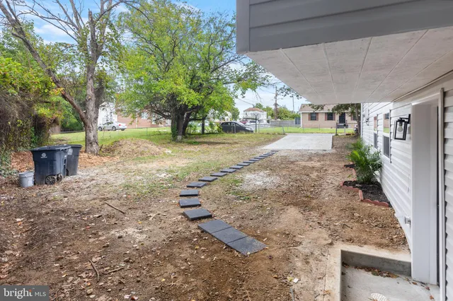 a view of a yard with plants and trees