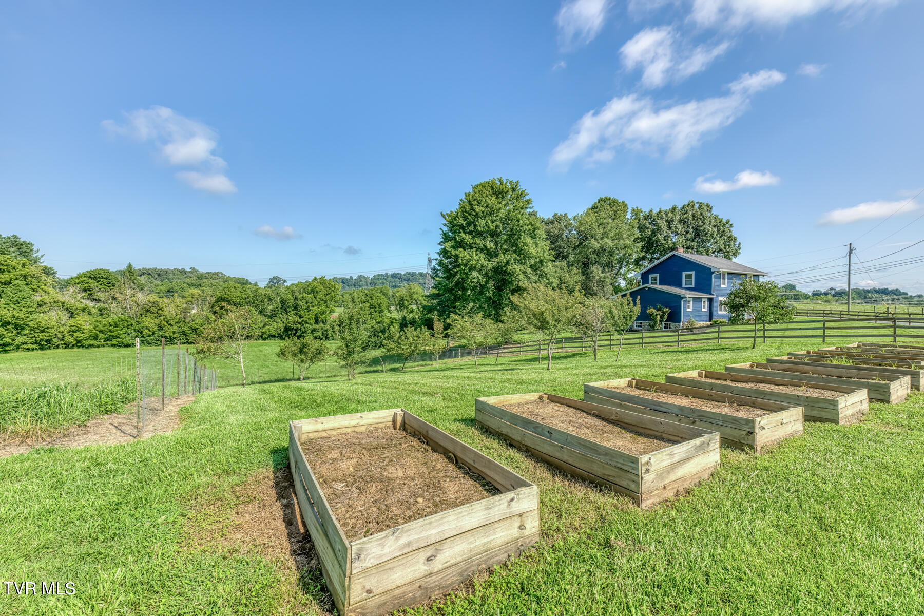 419 Kitzmiller Road Gray, TN 37615 - Photo 61 of 94 419 Kitzmiller Rd-78